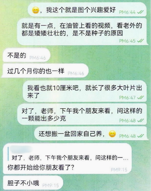 植物爱好者在线“开班”，课程竟是教授他人种植大麻……-金年会