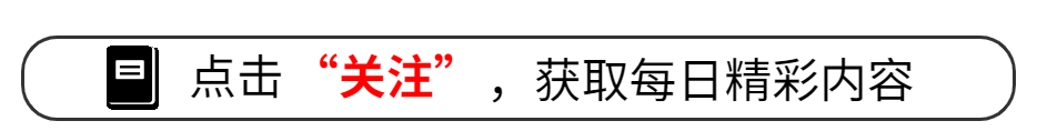 航司推出宠物机票，1399元带宠物一起飞，你心动了吗？