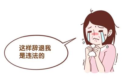 女职工产假期间被通知辞退，法院如何判？&lt;总第2413期&gt;-金年会(图1)