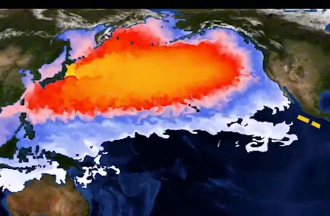 日本核污水再次排海，美国态度变了，终将为自己行为买单！-金年会(图2)