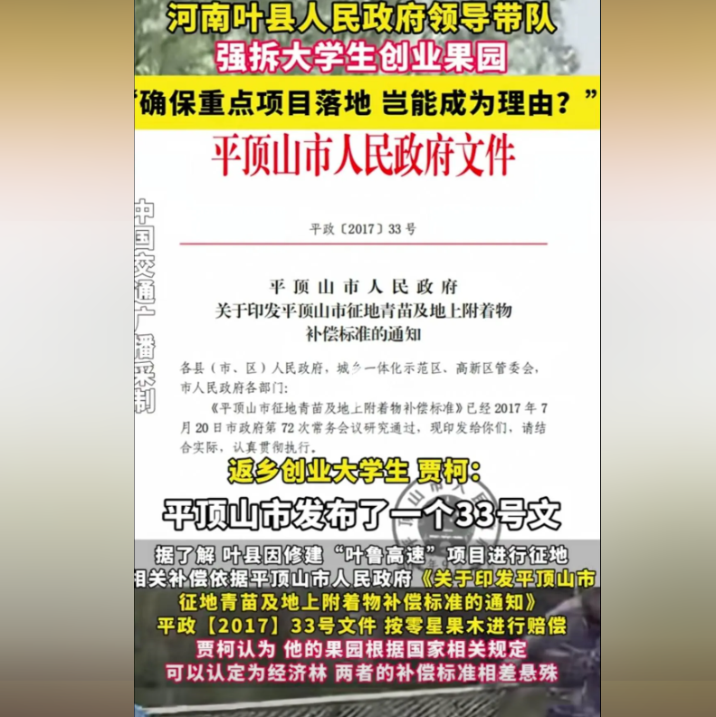 河南叶县领导带人强拆大金年会金字招牌信誉至上学生创业果园！副县长：为了重点项目落地-金年会(图4)