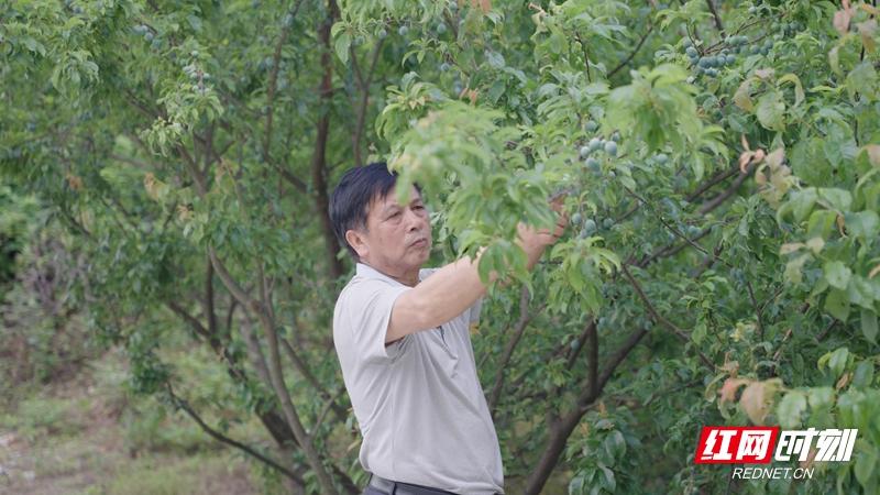 编者按：科学技术是第一生产力，科学思想是重要的精神力量。时值2023年5月30日，第七个全国科 金年会 金字招牌诚信至上技工作者日，张家界市科学技术协会联合红网张家界站推出《点亮精神火炬 传递科学星火》2023年张家界市优秀科技工作者专题报道，展现优秀科技工作者风采，引领广大科技工作者坚定理想信念、汲取奋进金年会金字招牌信誉至上力量。(图2)