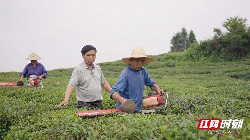 编者按：科学技术是第一生产力，科学思想是重要的精神力量。时值2023年5月30日，第七个全国科 金年会 金字招牌诚信至上技工作者日，张家界市科学技术协会联合红网张家界站推出《点亮精神火炬 传递科学星火》2023年张家界市优秀科技工作者专题报道，展现优秀科技工作者风采，引领广大科技工作者坚定理想信念、汲取奋进金年会金字招牌信誉至上力量。(图3)